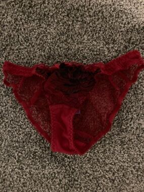 Agent Provocateur Red Lace Bikini Briefs